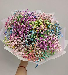 Букет из 9 радужных гипсофил