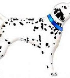 Фольгированный шар - Собачка Далматинец - 40"