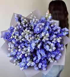 Букет из 35 дельфиниумов