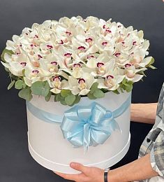 Композиция "Bryan" из 35 орхидей в шляпной  коробке