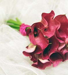 Букет невесты из 11 красных калл