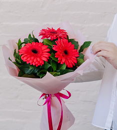 Букет "Огниво" букет из 3 гербер с зеленью