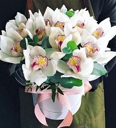 Композиция "Миллия" из орхидей и зелени в коробке