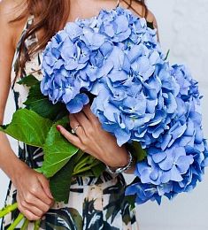 Букет "Blue" из гортензий 