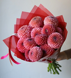 Букет из 15 розовых георгинов