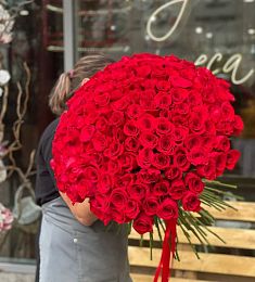 151 голландская роза 100 см