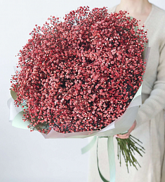 Букет из 25 красных гипсофил