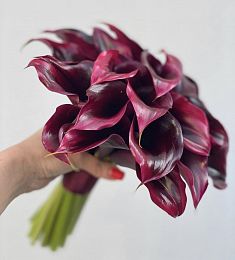 Букет невесты из 27 бордовых калл