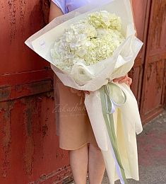 Букет из 5 белоснежных гортензий