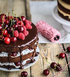 Торт "Шоколадный фонтан"