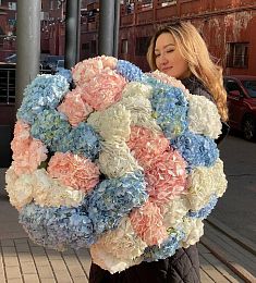 45 королевских гортензий 