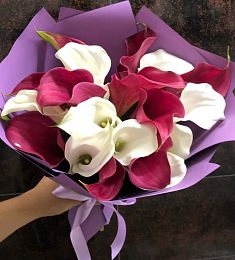 Букет из 19 красных и белых калл