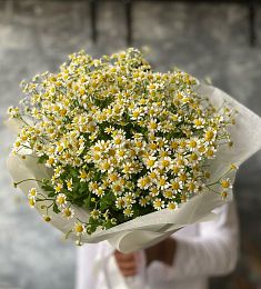 Букет из 15 кустовых ромашек