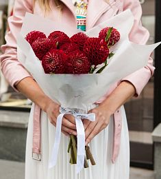 Букет из 9 бордовых георгинов