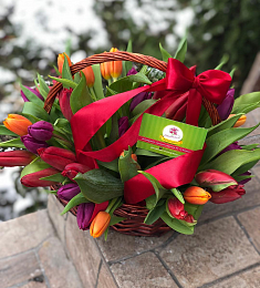 35 голландских тюльпанов в корзине
