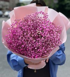 Букет из 5 гипсофил розового цвета