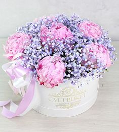 Букет "Вивиан" из пионов и гипсофил в коробке