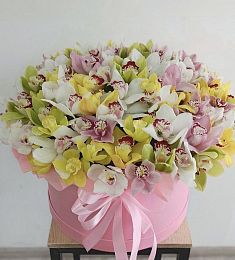 101 орхидея в коробке микс